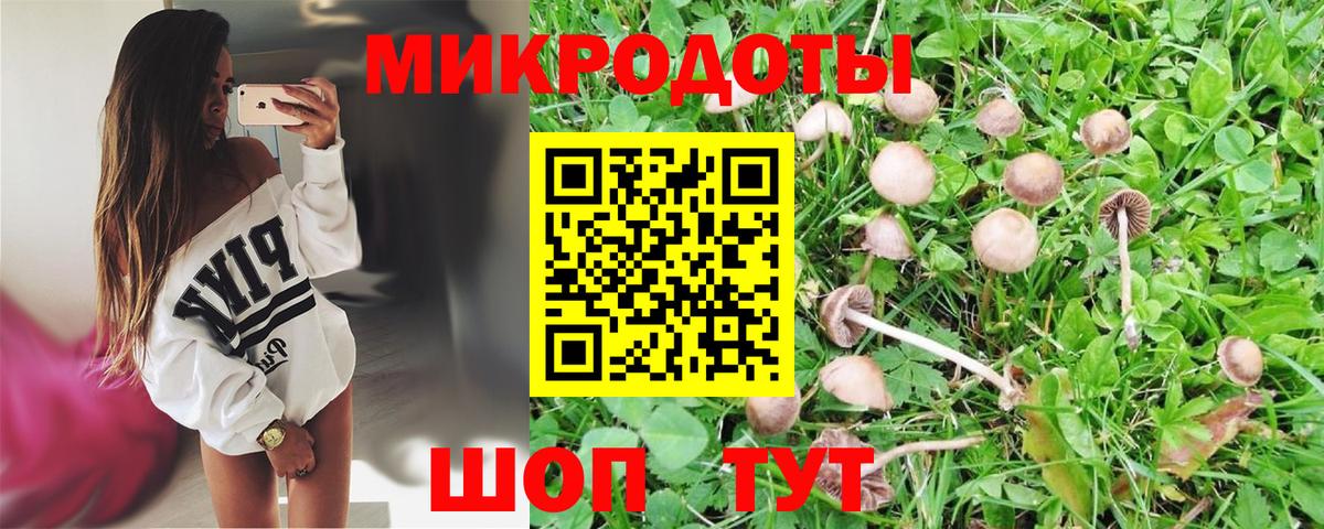 Псилоцибиновые грибы MAGIC MUSHROOMS  Вход с VPN  Елабуга  Псилоцибиновые грибы Psilocybe 