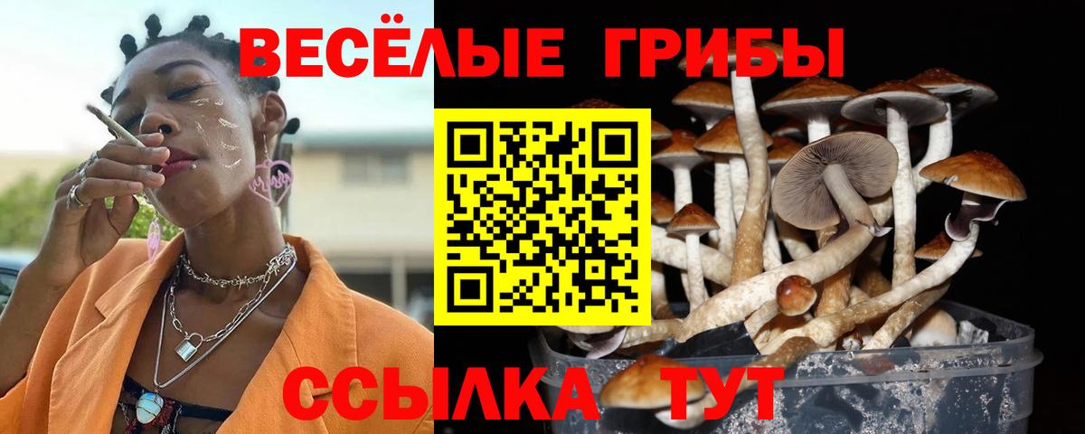 Галлюциногенные грибы GOLDEN TEACHER Елабуга